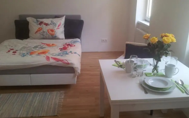 Apartment Erlachgasse