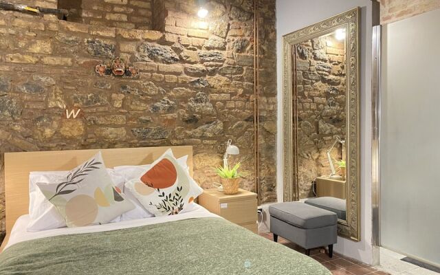 Centrally Located Historical Flat in Beyoglu