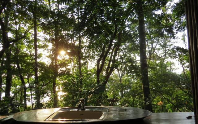 Tiskita Jungle Lodge