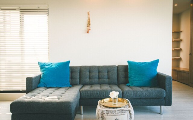 Blue Steak Wonder Senaha