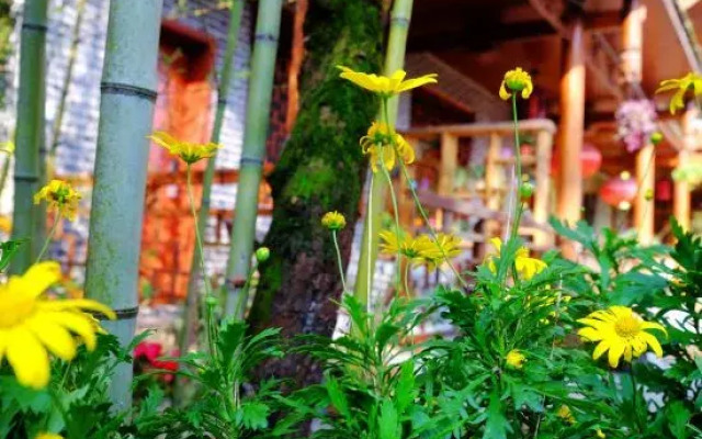 Nongyue Emei Shanju Hostel