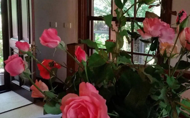 Bellbird Cottage B&B