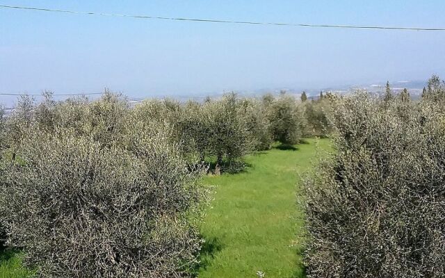 Agriturismo Le Piazze