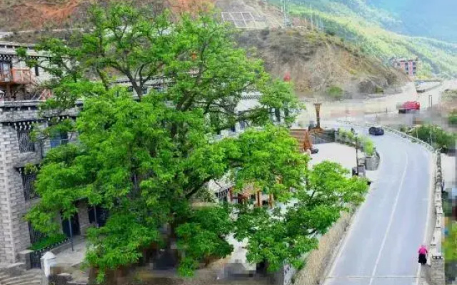 Shanbara Homestay (Daocheng Yading Visitor Center)