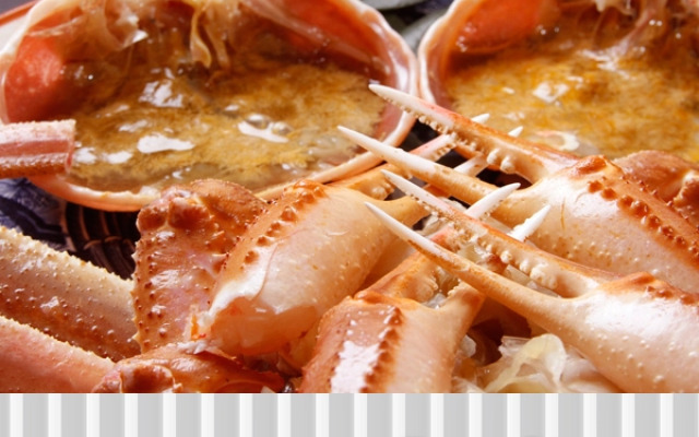 Miyazu Onsen Ryokan Tsurunoya