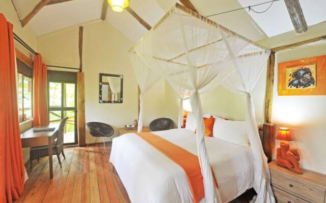 Gorilla Safari Lodge