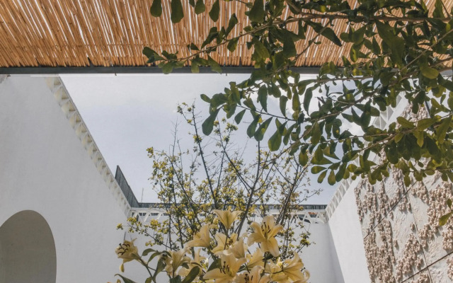 Casa Carmen Morelos