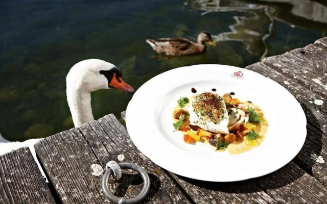 Seehotel Schwan
