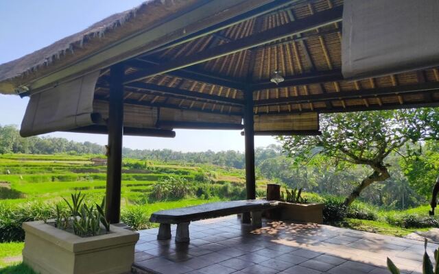 Semana Residences by Cove