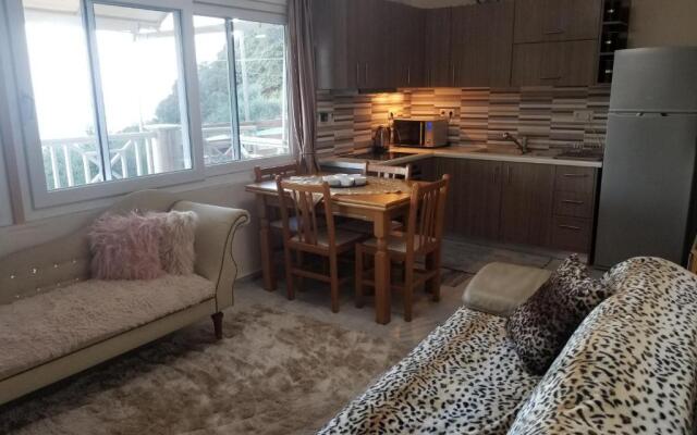 Angela Hilltop Apt 1