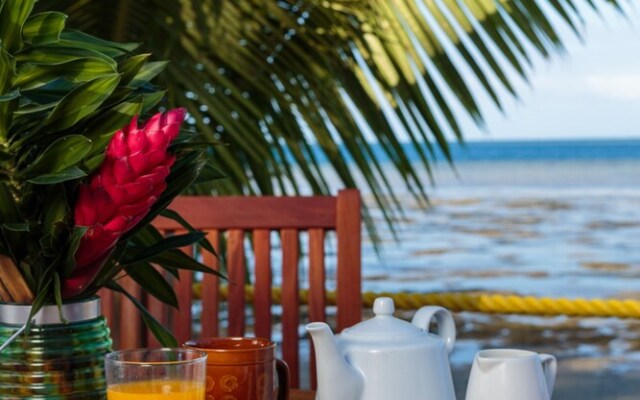 Funky Fish Beach & Surf Resort - Hostel