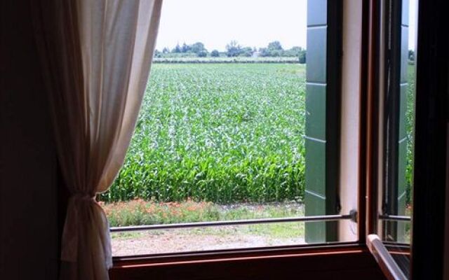 Agriturismo Le Procurative