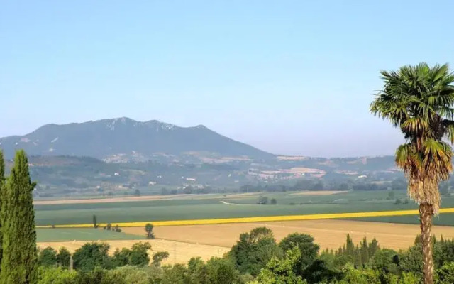 Stella e il Grillo