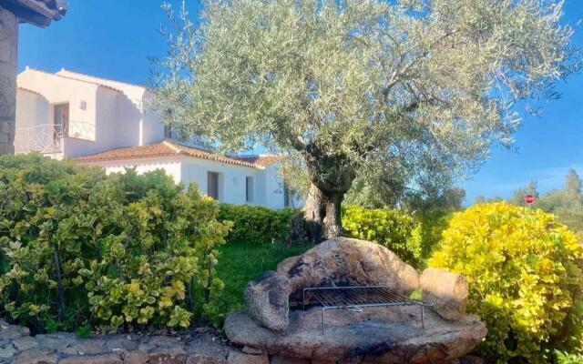 Solaria Apartment III