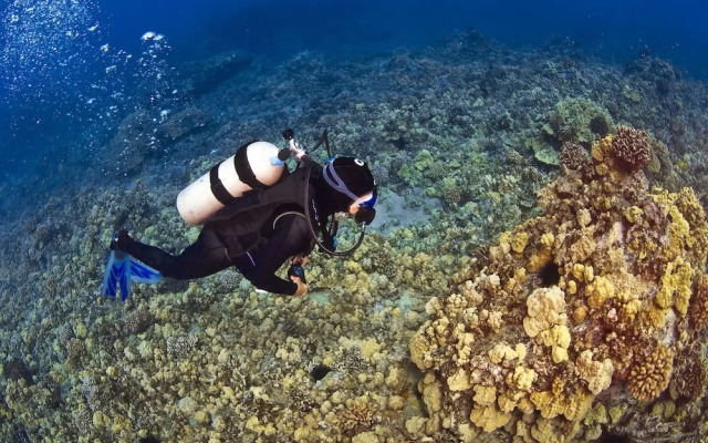 Kaleialoha 202 by RedAwning