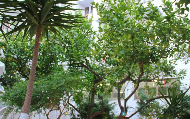Vasia Boulevard Hotel (Adults Only)