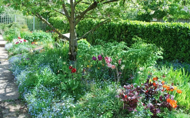 Hillcroft Luxury Bed & Breakfast