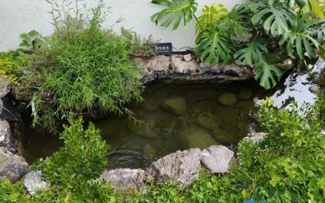 Huangguoshu Cuiwei Xianning Homestay – Outside – Anshun