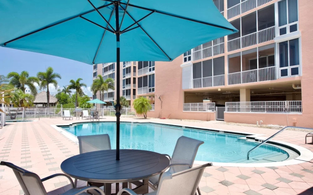Palm Harbor #403