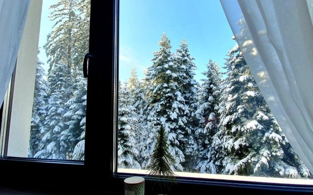 Pinewood ANG luxurious apartment A43, Borovets Gardens