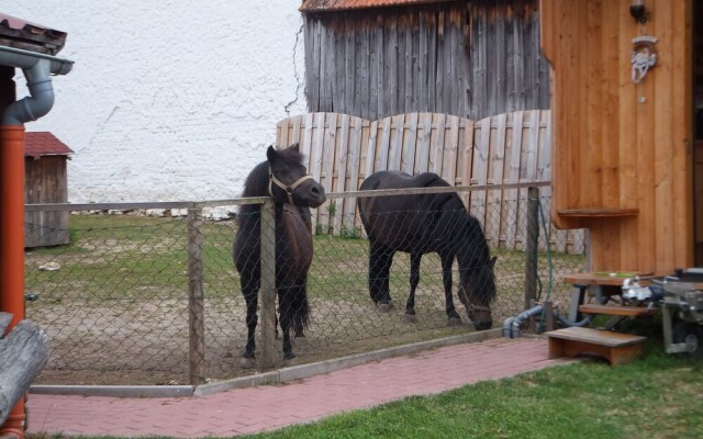 Ferienwohnung Stark