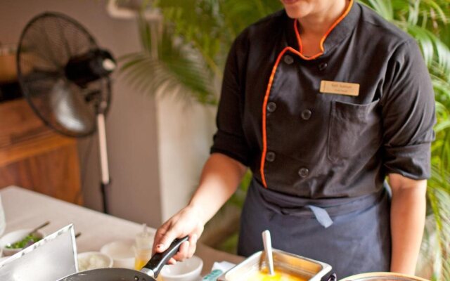 TeaHouse Asian Urban Hotel