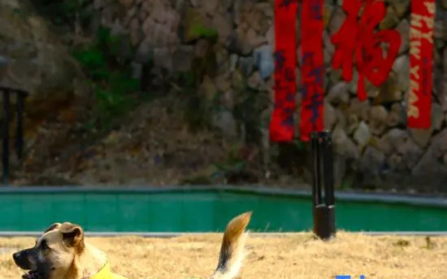 Moganshan Chujianshan Residence