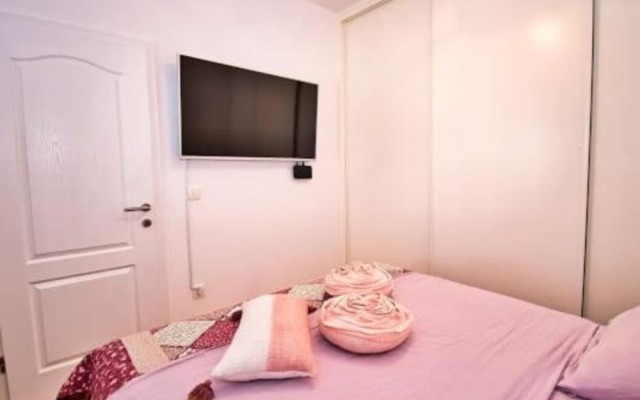 Beach House Calendula