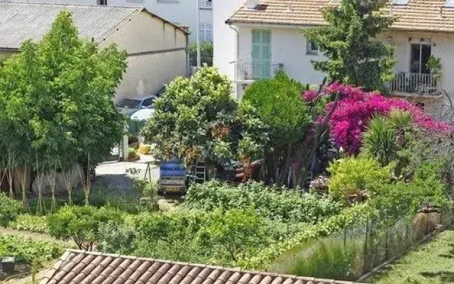 Apartment Bougainvillier