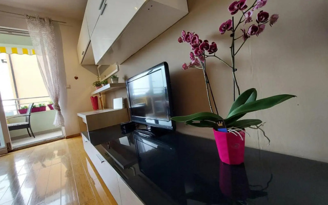 Apartment Vira