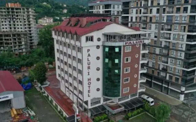 Paluri Hotel