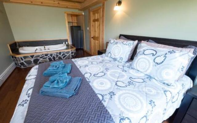 Les Immeubles Charlevoix-le 350