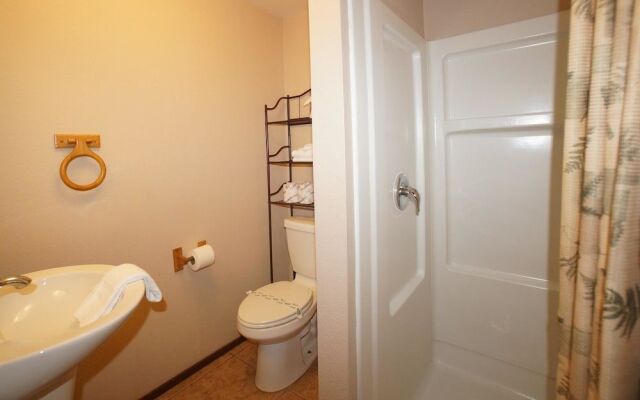 Grizzly Bear - Fox 'n Bear