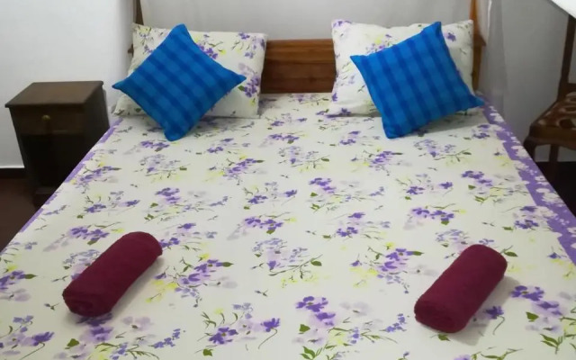Lasindu Guest
