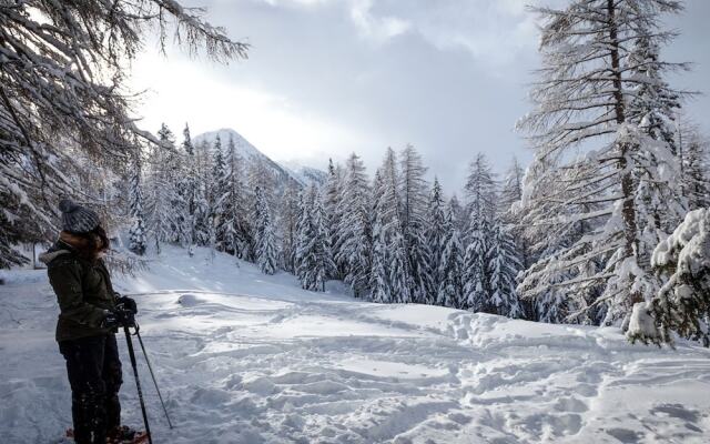 Modern Apartment in Bellwald With Terrace