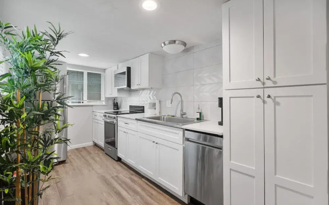 Stylish Studio Zilker Evonify