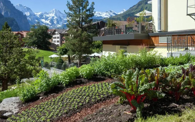 Hotel Schönegg Wengen