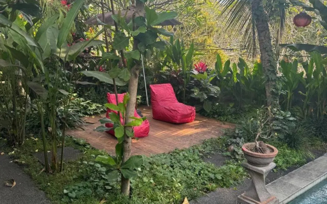Uda Suite