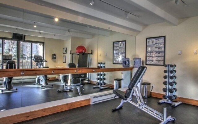 Lionshead Village Landmark Condos 3 Bedroom