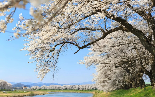 Pacific Hotel Shiroishi