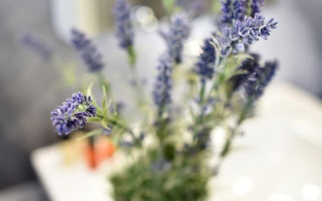 Manduša Heritage Apartments