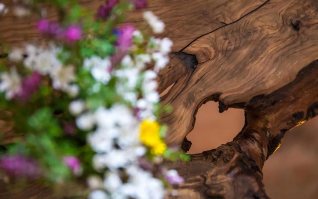 Trulli 18 Cinquantanove