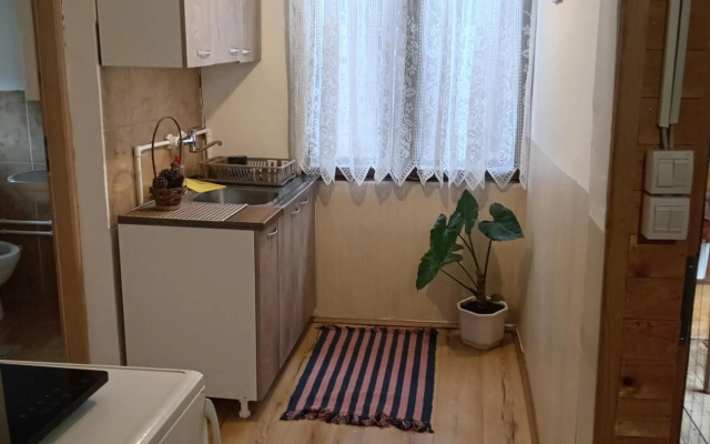 Apartmani Radivojevic