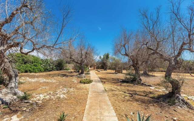 3621 Tenuta Terra del Sole by Perle di Puglia