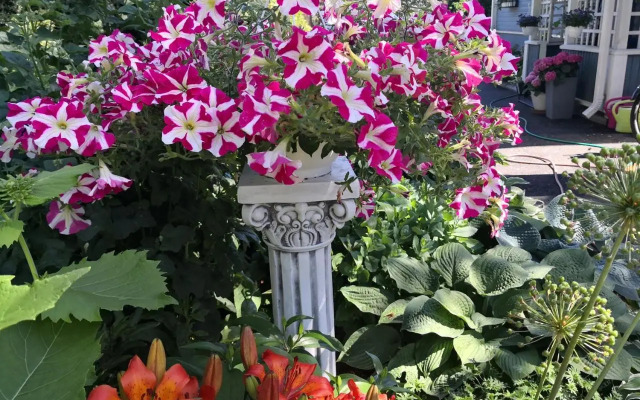 Airport Mint House Studio