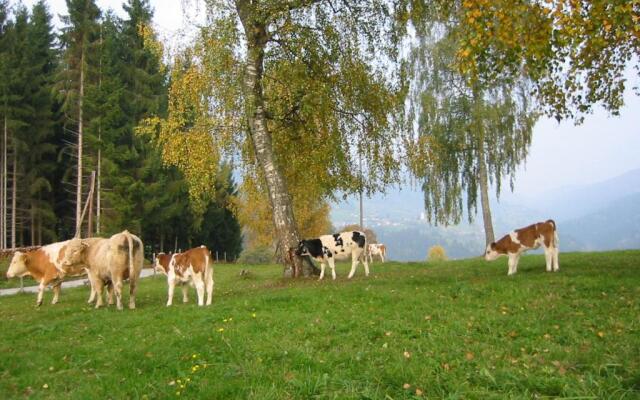 Ferienwohnung am Oberrainerhof
