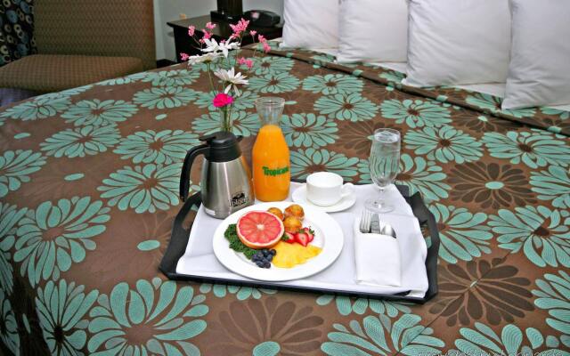 Holiday Inn Hotel & Suites Williamsburg-Historic Gateway by IHG