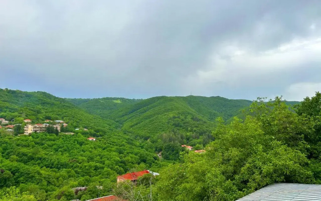 Hotel VIM in Sighnaghi