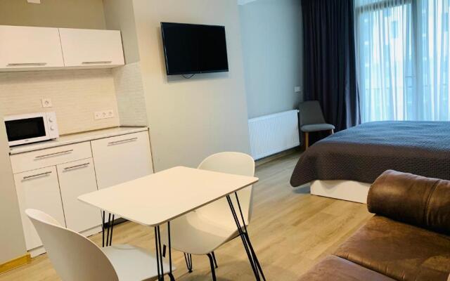 Comfortable Apartment near Didveli