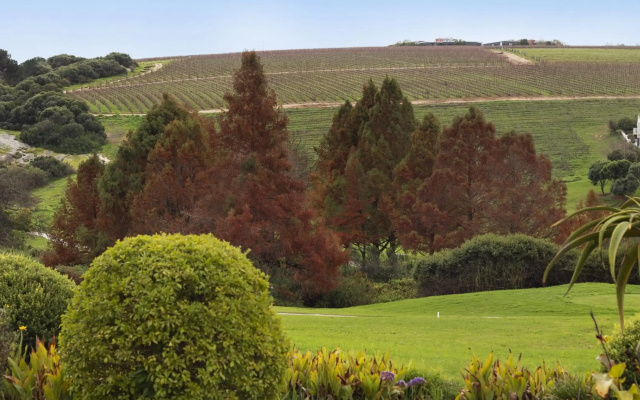Winelands Golf Lodges 5